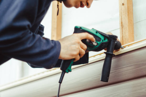 Best Steel Siding Installation  in Delta Junction, AK